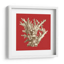 Coral En Rojo I - Vision Studio | Cuadro decorativo de Canvas Lab