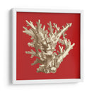 Coral En Rojo I - Vision Studio | Cuadro decorativo de Canvas Lab