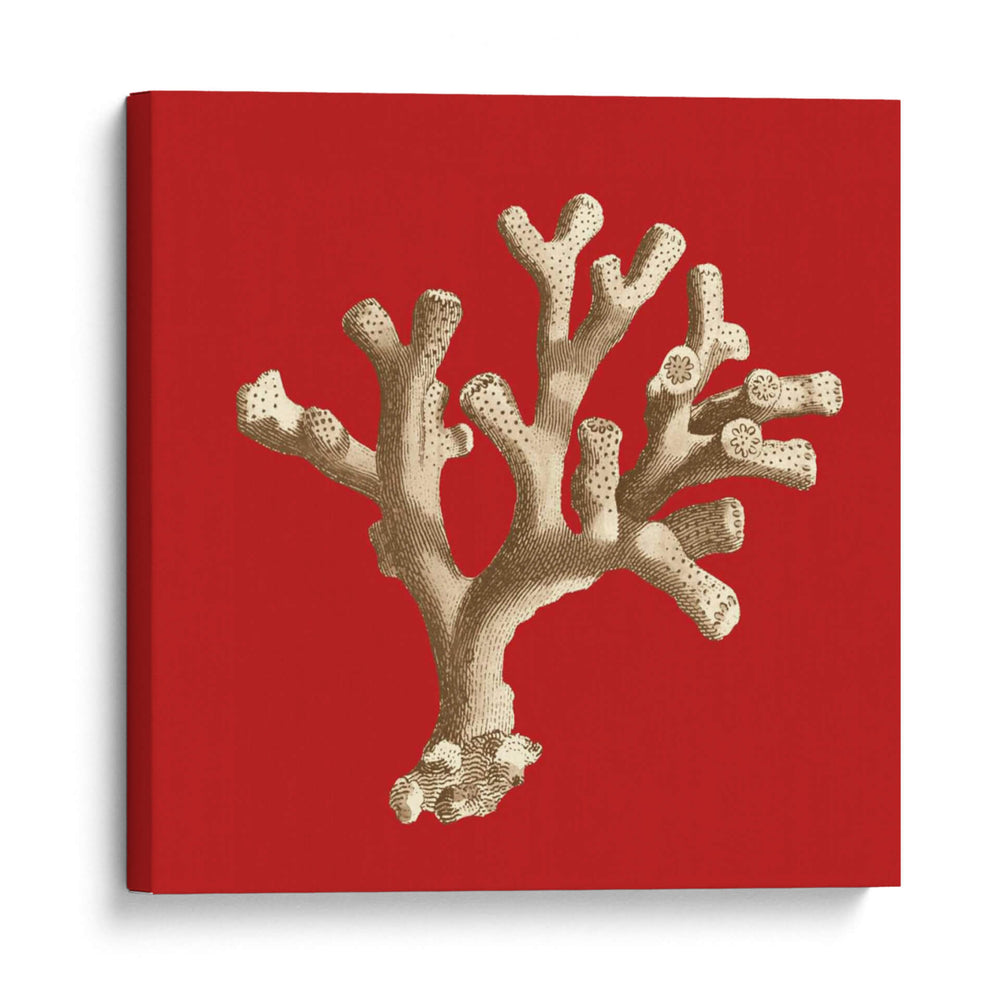 Coral En Rojo Ii - Vision Studio | Cuadro decorativo de Canvas Lab