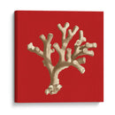 Coral En Rojo Ii - Vision Studio | Cuadro decorativo de Canvas Lab