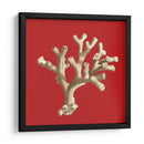Coral En Rojo Ii - Vision Studio | Cuadro decorativo de Canvas Lab