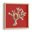 Coral En Rojo Ii - Vision Studio | Cuadro decorativo de Canvas Lab