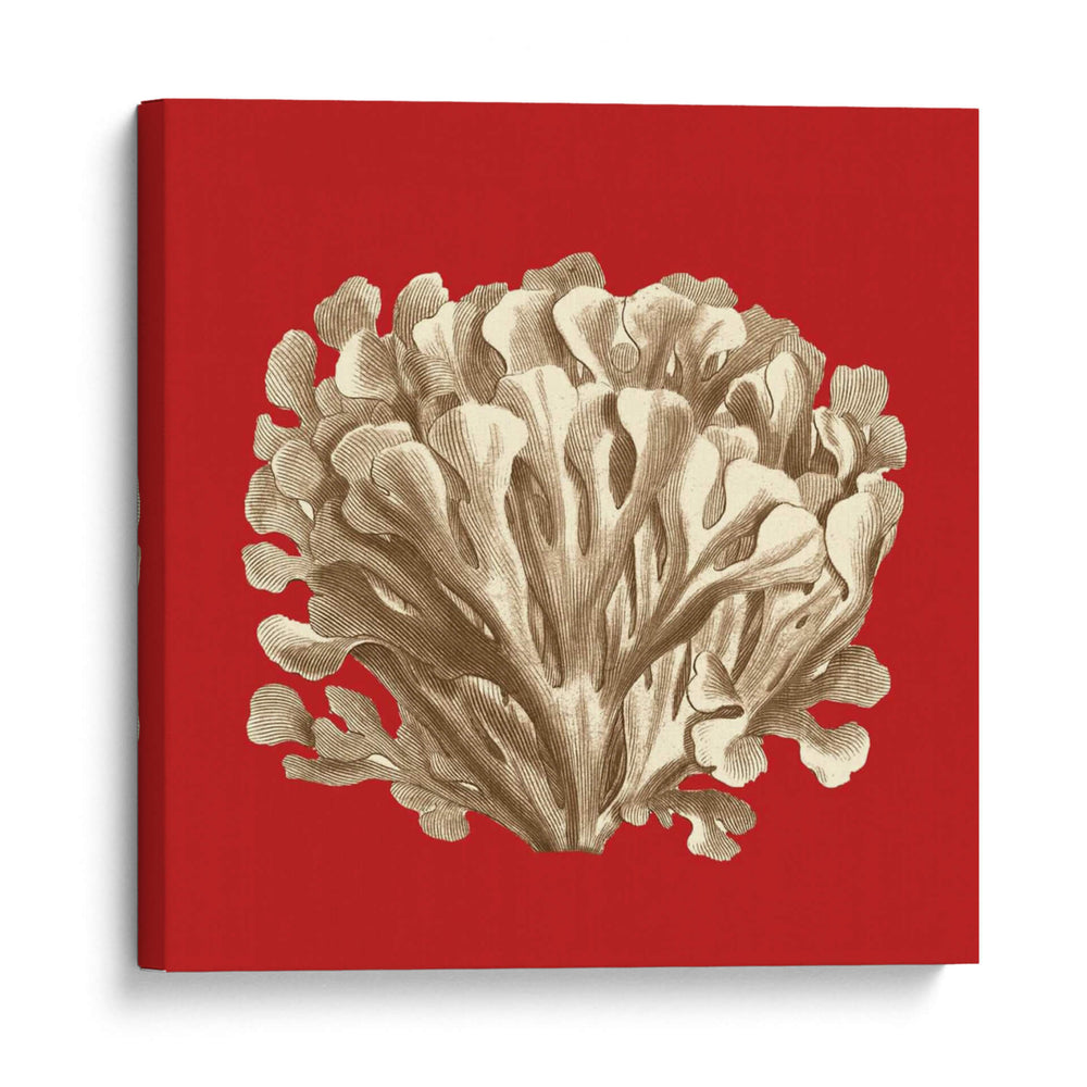 Coral En Rojo Iii - Vision Studio | Cuadro decorativo de Canvas Lab