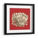 Coral En Rojo Iii - Vision Studio | Cuadro decorativo de Canvas Lab