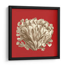 Coral En Rojo Iii - Vision Studio | Cuadro decorativo de Canvas Lab