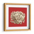 Coral En Rojo Iii - Vision Studio | Cuadro decorativo de Canvas Lab