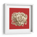 Coral En Rojo Iii - Vision Studio | Cuadro decorativo de Canvas Lab