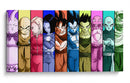 Dragon Ball Z family | Cuadro decorativo de Canvas Lab