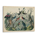 Hábitat Para Las Aves | Cuadro decorativo de Canvas Lab