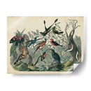 Hábitat Para Las Aves | Cuadro decorativo de Canvas Lab