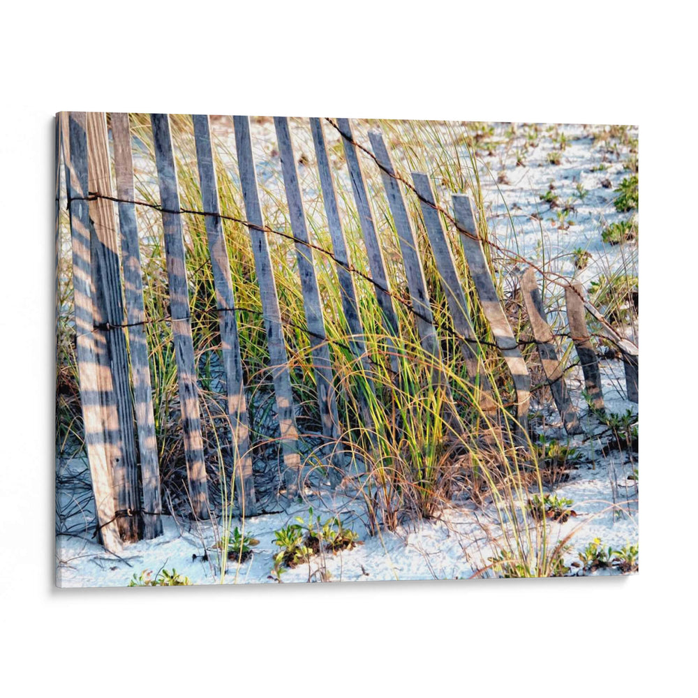 Mar Oats I - Danny Head | Cuadro decorativo de Canvas Lab