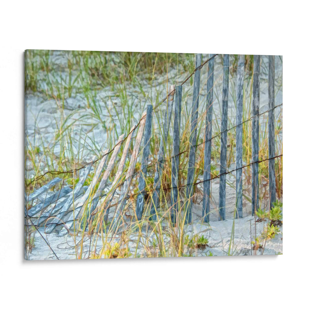 Sea Oats Ii - Danny Head | Cuadro decorativo de Canvas Lab