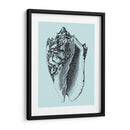 Conchas En Aqua I - Vision Studio | Cuadro decorativo de Canvas Lab