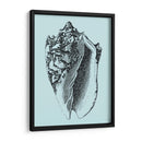 Conchas En Aqua I - Vision Studio | Cuadro decorativo de Canvas Lab
