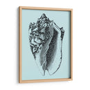 Conchas En Aqua I - Vision Studio | Cuadro decorativo de Canvas Lab