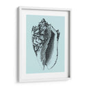 Conchas En Aqua I - Vision Studio | Cuadro decorativo de Canvas Lab