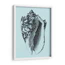 Conchas En Aqua I - Vision Studio | Cuadro decorativo de Canvas Lab