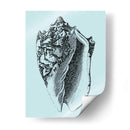 Conchas En Aqua I - Vision Studio | Cuadro decorativo de Canvas Lab