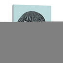 Conchas En Aqua Ii - Vision Studio | Cuadro decorativo de Canvas Lab