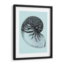 Conchas En Aqua Ii - Vision Studio | Cuadro decorativo de Canvas Lab