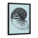 Conchas En Aqua Ii - Vision Studio | Cuadro decorativo de Canvas Lab