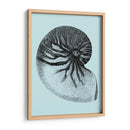 Conchas En Aqua Ii - Vision Studio | Cuadro decorativo de Canvas Lab