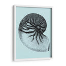 Conchas En Aqua Ii - Vision Studio | Cuadro decorativo de Canvas Lab