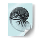 Conchas En Aqua Ii - Vision Studio | Cuadro decorativo de Canvas Lab