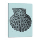Conchas En Aqua Iii - Vision Studio | Cuadro decorativo de Canvas Lab