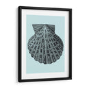 Conchas En Aqua Iii - Vision Studio | Cuadro decorativo de Canvas Lab
