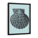 Conchas En Aqua Iii - Vision Studio | Cuadro decorativo de Canvas Lab