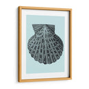 Conchas En Aqua Iii - Vision Studio | Cuadro decorativo de Canvas Lab