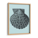 Conchas En Aqua Iii - Vision Studio | Cuadro decorativo de Canvas Lab