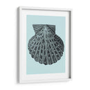 Conchas En Aqua Iii - Vision Studio | Cuadro decorativo de Canvas Lab