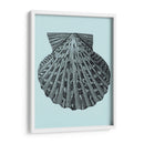 Conchas En Aqua Iii - Vision Studio | Cuadro decorativo de Canvas Lab
