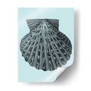 Conchas En Aqua Iii - Vision Studio | Cuadro decorativo de Canvas Lab