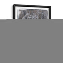 Ombre Wildflowers Ii - Jennifer Goldberger | Cuadro decorativo de Canvas Lab