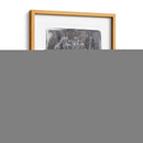 Ombre Wildflowers Ii - Jennifer Goldberger | Cuadro decorativo de Canvas Lab