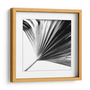 Palm En Blanco Y Negro Ii - Jason Johnson | Cuadro decorativo de Canvas Lab