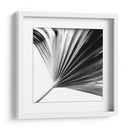Palm En Blanco Y Negro Ii - Jason Johnson | Cuadro decorativo de Canvas Lab