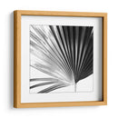 Palm En Blanco Y Negro Iv - Jason Johnson | Cuadro decorativo de Canvas Lab