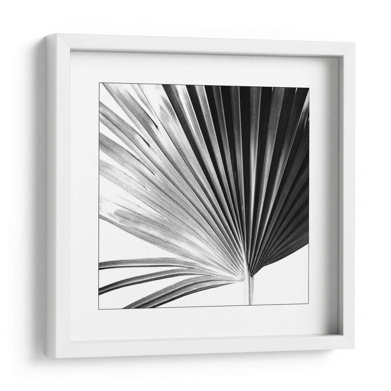 Palm En Blanco Y Negro Iv - Jason Johnson | Cuadro decorativo de Canvas Lab