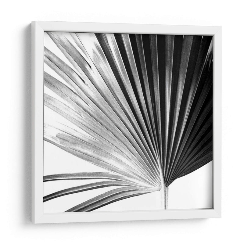 Palm En Blanco Y Negro Iv - Jason Johnson | Cuadro decorativo de Canvas Lab