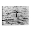 El monstruo del Lago Ness | Cuadro decorativo de Canvas Lab