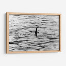 El monstruo del Lago Ness | Cuadro decorativo de Canvas Lab