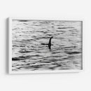 El monstruo del Lago Ness | Cuadro decorativo de Canvas Lab