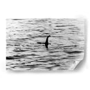 El monstruo del Lago Ness | Cuadro decorativo de Canvas Lab