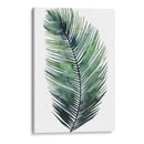 Palm Vii I Untretheeded I - Grace Popp | Cuadro decorativo de Canvas Lab