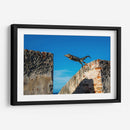 El salto de la iguana | Cuadro decorativo de Canvas Lab