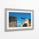 El salto de la iguana | Cuadro decorativo de Canvas Lab